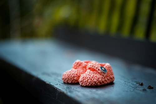 Booties on bench